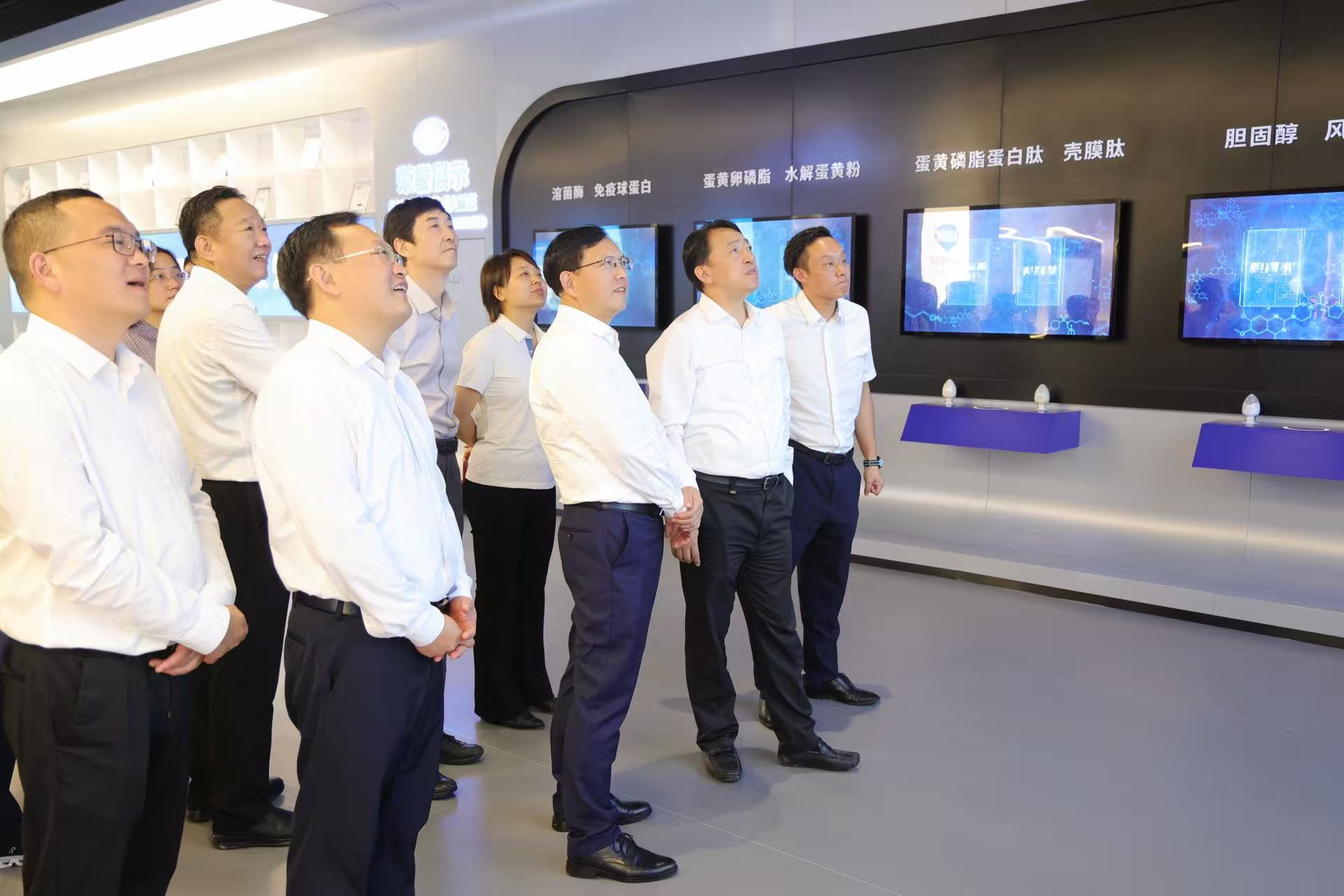 楊良鋒一行赴紅安縣調研